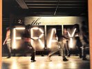 THE FRAY The Fray  EPIC 2009 LP 180g  SUPER RARE NEAR MINT  NM