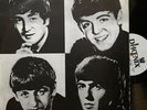 THE BEATLES Early Years (I) Vol 1 1983 LP MEXICO EX VINYL