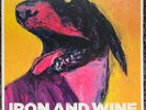 Iron And Wine - The Shepherd's Dog - Rare Ltd. Edition Purple Vinyl LP NM