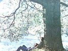 John Lennon - John Lennon / Plastic Ono Band LP (VG+/VG+) '
