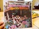 WALT DISNEY WORLD ADVENTURELAND STEEL BAND (RARE) 1976