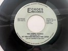 Rare Sweet Soul Funk Gospel 45 / The Gospel Echoes 