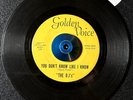 The DJs Keep On Runnin Golden Voice rare Illinois garage rock 1960's 45