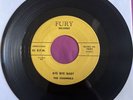 The Channels - Bye Bye Baby/My Love Will Never Die Fury Records 1021 EX