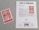 STEVIE RAY VAUGHAN SIGNED PASS 1989 IN STEP TOUR JEFF BECK PSA