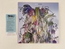 WILCO Band Signed Cousin VINYL LP 2023 EXACT PROOF w/ Amoeba Ticket JEFF TWEEDY