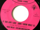 Nicole Willis & The Soul Investigators - If This Ain't Love 7