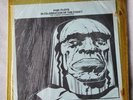 RARE Vinyl Pink Floyd In Celebration Of The Comet Record Vintage