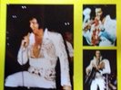 ELVIS PRESLEY.............THE KING ON TOUR.......LP