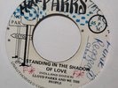 LLOYD PARKS Standing In the Shadow Of Love - Jamaica Islands Disco Funk Boogie 7