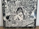 Septic Death - Now That I Have The Attention UK Pressing