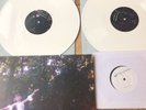 Wolf Alice Rare White Vinyl Album Plus 7 Inch Demo Visions Of Life
