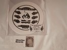 Hot Water Music Drag My Body UNPLAYED 2012 Germany White Picture Disc #289/400