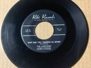 Larktones DOO WOP 45 Why Are You Tearing Us Apart / Nosy Neighbors RIKI VG HEAR