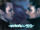 Bomfunk Mc's In Stereo Silver & Black (Vinyl)