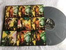 The Pooh Sticks - Multiple Orgasm Vinyl LP  Fierce Fright 047B  RARE