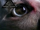 Roger Waters : The Dark Side of the Moon VINYL Redux. 2LP Blue Edition.