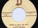 HEAR - Rare Country 45 - Willie Nelson - What A Way To Live - D Records # 1131