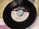 Robert Plant Burning Down One Side/Moonlight In Samosa 1982 7