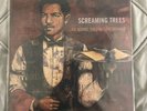 Screaming Trees RARE Last Words: The Final Recordings BOOTLEG BLACK