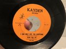 Bram Rigg Set 60s Garage Punk Original 45 i can only give you everything FUZZER