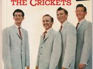 Buddy Holly / Crickets 