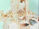 Pale Saints - In Ribbons [New Vinyl LP] Gatefold LP Jacket, Deluxe Ed