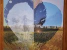 Neil Young - Dreamin' Man Live 92 LP/ Rare OOP (Harvest Moon Live) Vinyl