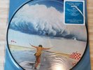 Manfred Mann's Earth Band - Watch - Vinyl Picture Disc LP