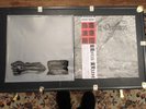 Circle Of Ouroborus Star/Rise LP Vordr Kuunpalvelus