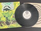 DR STRANGELY STRANGE Heavy Petting 6360 009 VERTIGO SWIRL UK 1ST PRESS NM/EX