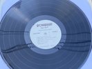 SONSEED FIRST FRUIT LP ORIG. 1981 RM-824 NM VINYL (Christian Pop/Ska Xtian