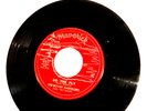 Ray Gentry the rovin' gamblers ORIG 45 northwest Rockabilly DO THE FLY clean