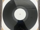 Riverdales - Tarantula LP Black TEST PRESS Screeching Weasel Ramones Nofx Blink
