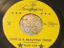 Florida GIRLS IN THE GARAGE 45 Sandpipers Love is a Beautiful Thing VG+ HEAR