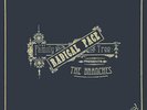 Radical Face The Family Tree: The Branches NEAR MINT Nettwerk Vinyl LP