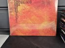 And You Will Know Us by the Trail of Dead Source Tags & Codes NEW 2 LP Vinyl