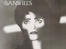 Siouxsie & The Banshees – BBC Sessions 1977-1979  LP  Blue Vinyl