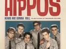 The Hippos Heads are Gonna Roll LP Blue White Split Reel Big Fish Less Than Jake