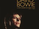 David Bowie A New Career In A New Town 1977-1982 13 Lp Disc Vinyl Lp Box Set NEW