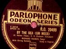 Richard Tauber By the Sea / Serenade 78 PLAY GRADED Fully Tested