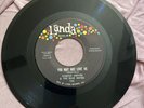 HAROLD MELVIN AND THE BLUE NOTES-GET OUT(AND LET ME CRY)/YOU MAY NOT LOVE ME 45
