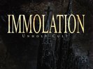 Immolation – Unholy Cult LP Picture Disc Vinyl - RARE LIMITED Death Metal Record
