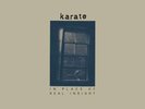 Karate: In Place Of Real Insight -   - ( / )