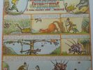 LP Peter and the Wolf Young Person's Guide to the Orchestra Britten Ormandy