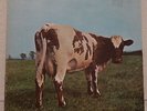 Pink Floyd - Atom Heart Mother (LP, Album, Los) (Very Good (VG)) - 2765543197