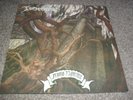 TORMENTOR -ANNO DOMINI- VERY HARD TO FIND PRESS LP VINYL TOP DEATH METAL 1995 NM