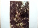 Vinyl LP - VAN MORRISON 'Tupelo Honey', 1971 WS1950  (Less 20%)