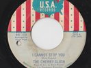 GARAGE PSYCHE 45 by THE CHERRY SLUSH HEAR IT