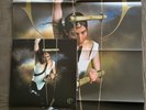 Caroline Polachek Pang SIGNED Limited Fog Vinyl LP AUTOGRAPHED And Huge Poster